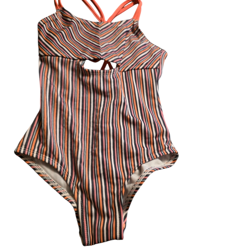Striped Multicolor Swimsuit
